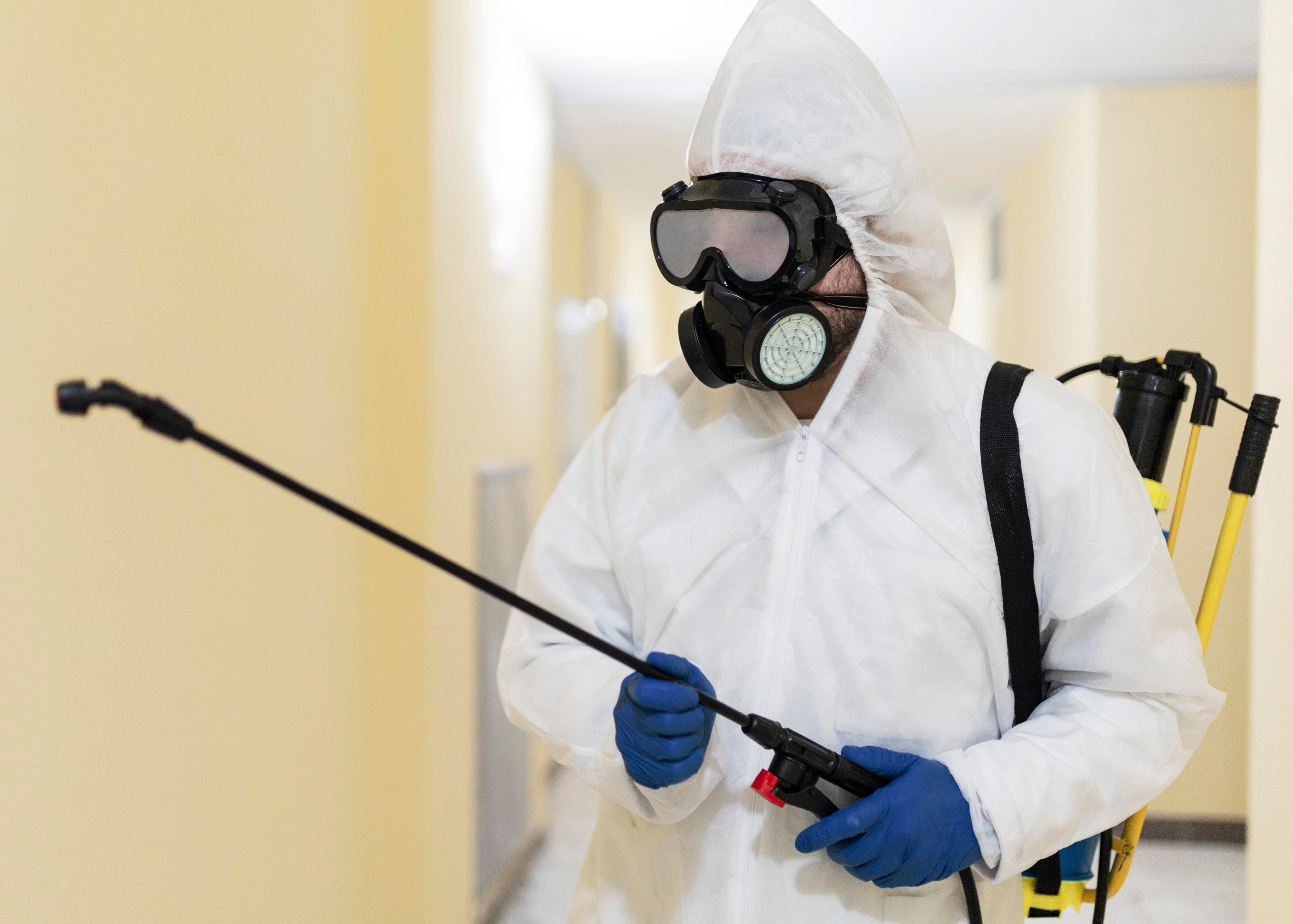 Pest Control / Bird Management